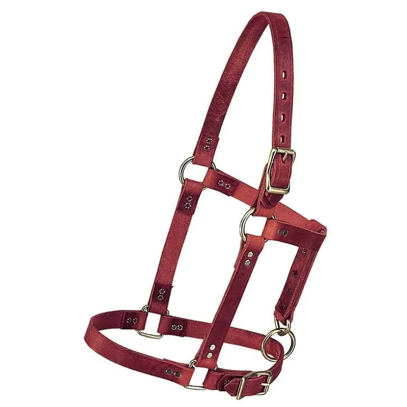 Weaver 3/4"" Riveted Halter
